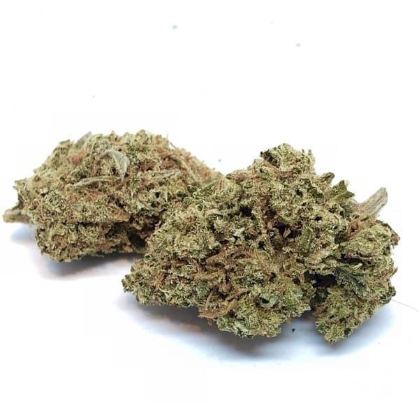 Sour Dubble cannabis strain, community photo 2