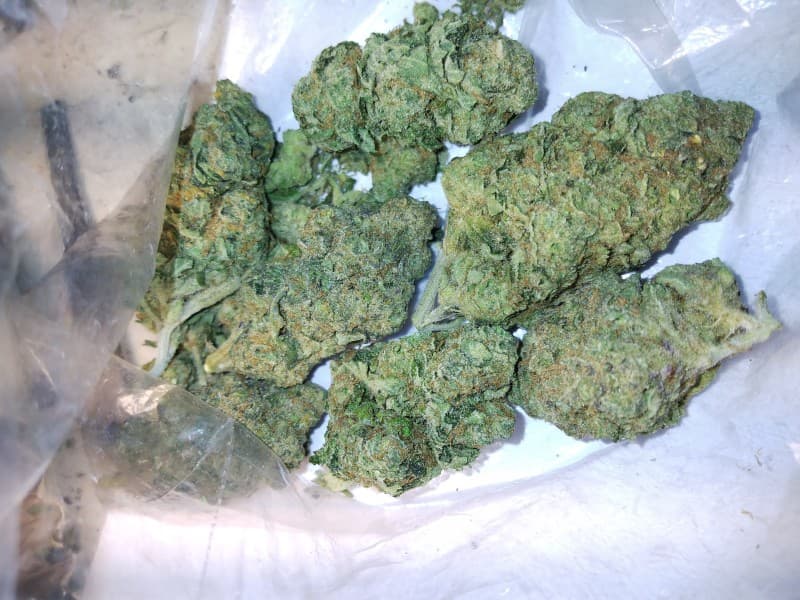 Sour Dubble cannabis strain, community photo 3