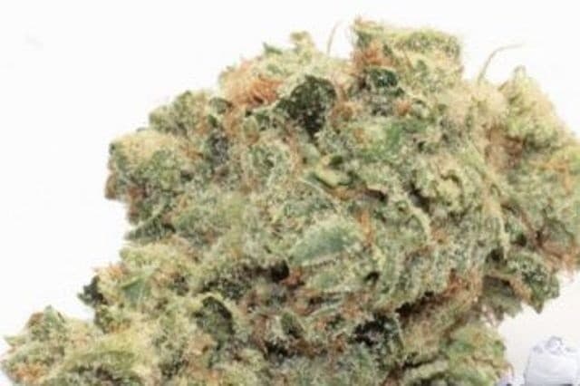 Sour Dubble cannabis strain, community photo 5