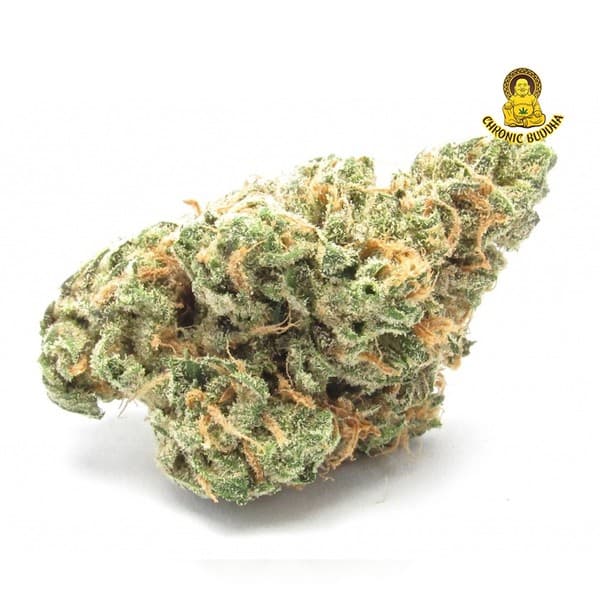 Sour Haze cannabis strain, community photo 1