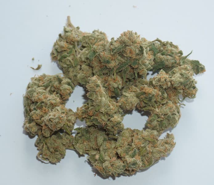 Sour Jack cannabis strain, community photo 1