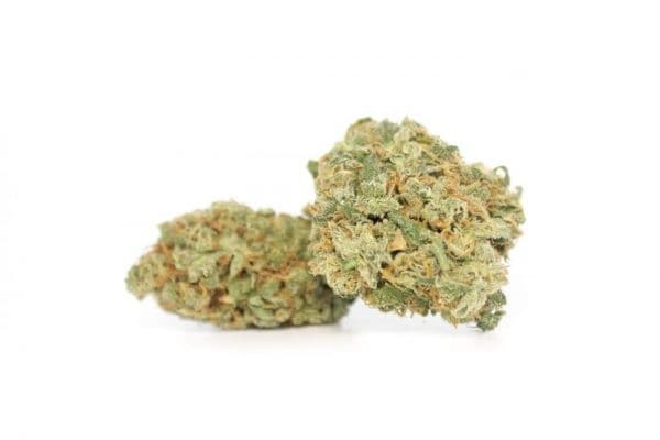 Sour Jack cannabis strain, community photo 2