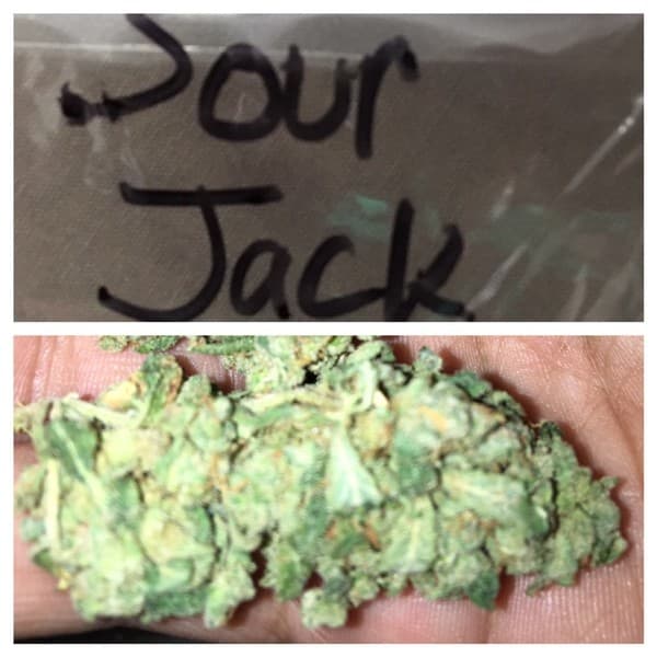 Sour Jack cannabis strain, community photo 7