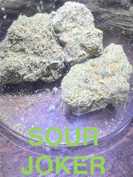 Sour Joker cannabis strain, community photo 2