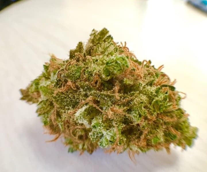 Sour Kush cannabis strain, community photo 5