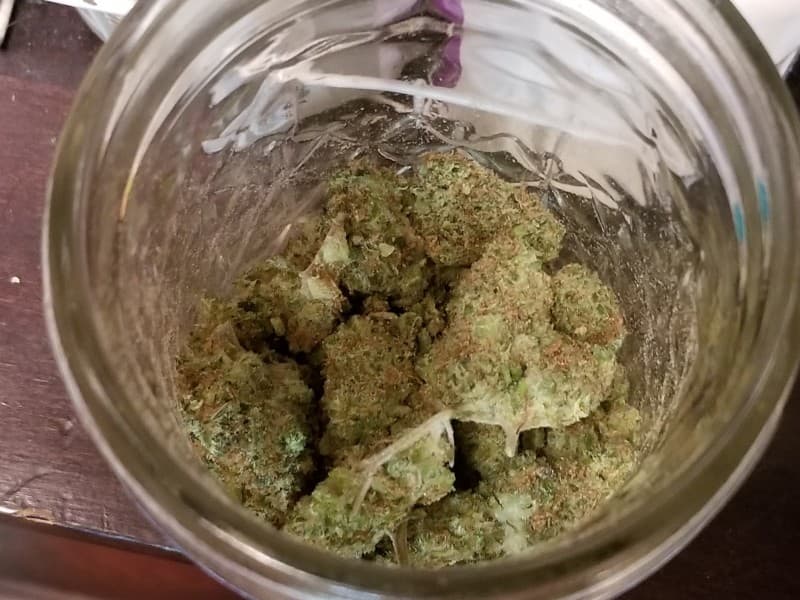 Sour Kush cannabis strain, community photo 6