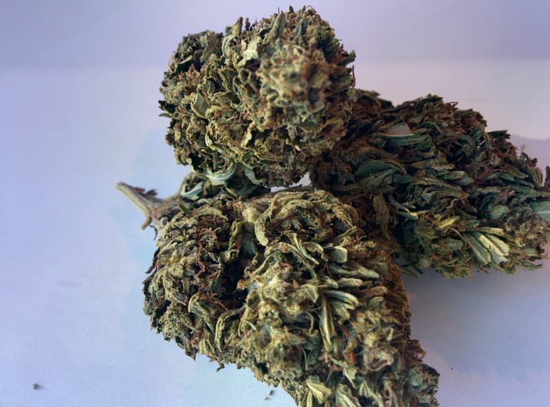Sour OG cannabis strain, community photo 1