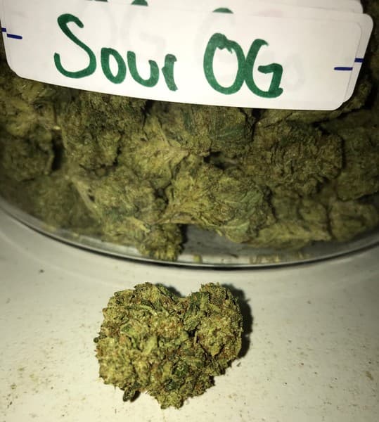 Sour OG cannabis strain, community photo 5