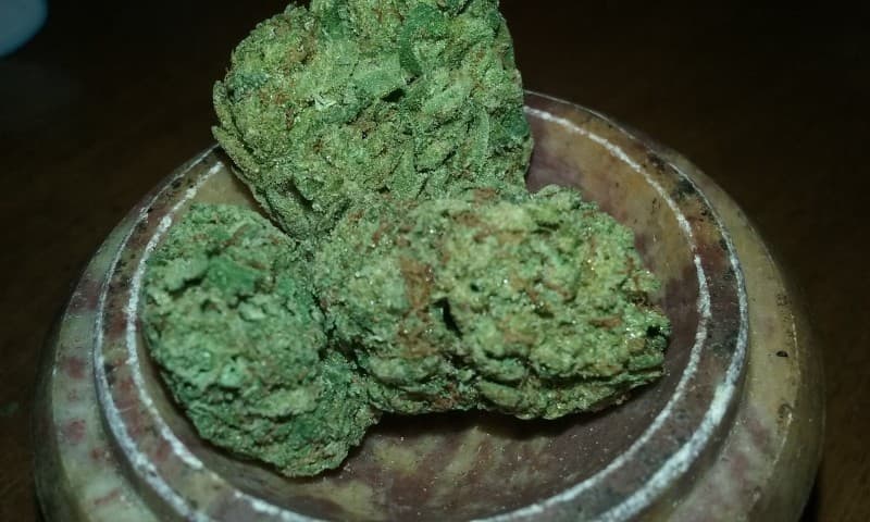 Sour OG cannabis strain, community photo 8