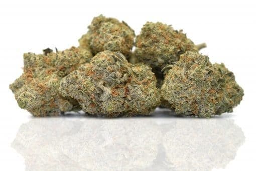 Sour Tangie cannabis strain, community photo 4