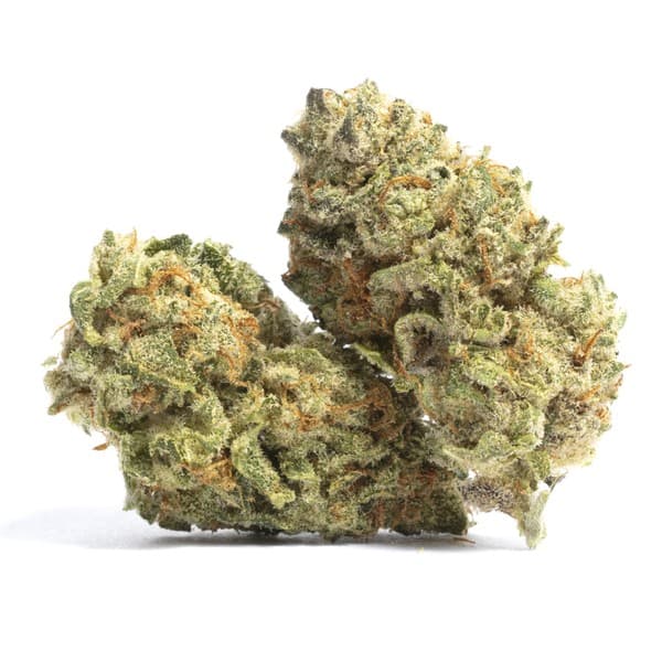 Sour Tangie cannabis strain, community photo 5