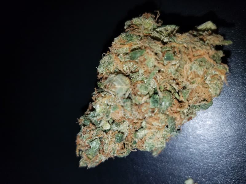 Sour Tangie cannabis strain, community photo 6