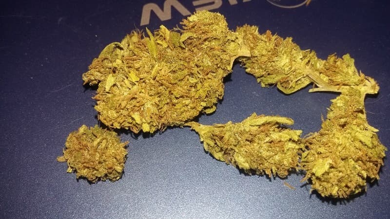 Sour Tangie cannabis strain, community photo 9