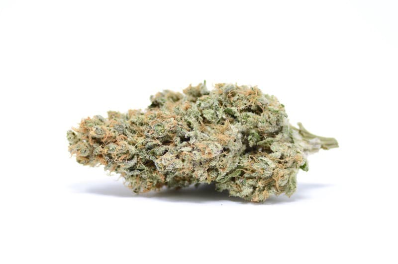Space Candy cannabis strain, community photo 1