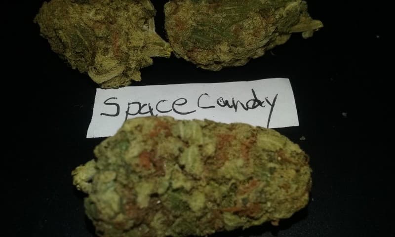 Space Candy cannabis strain, community photo 2