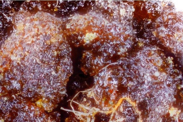 Space Candy cannabis strain, community photo 5
