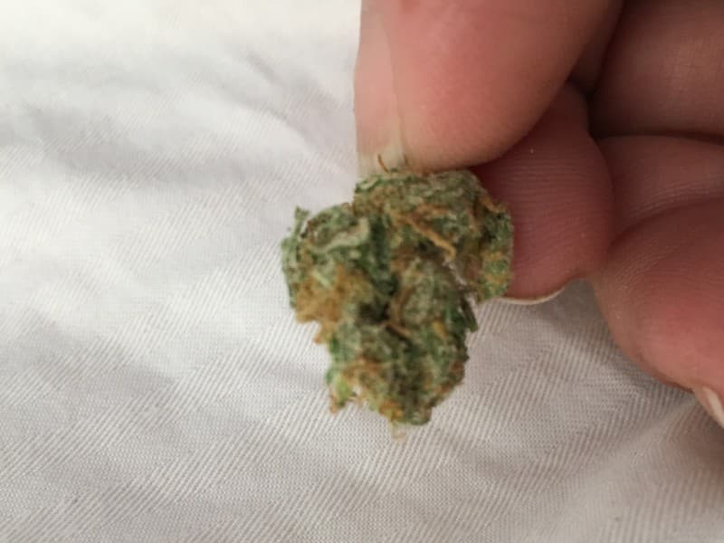 Space Candy cannabis strain, community photo 6