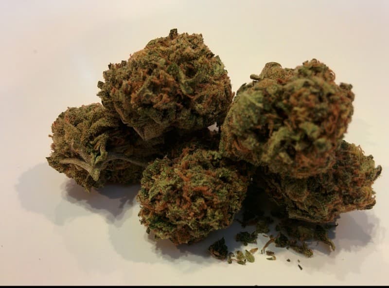 Space Queen cannabis strain, community photo 1