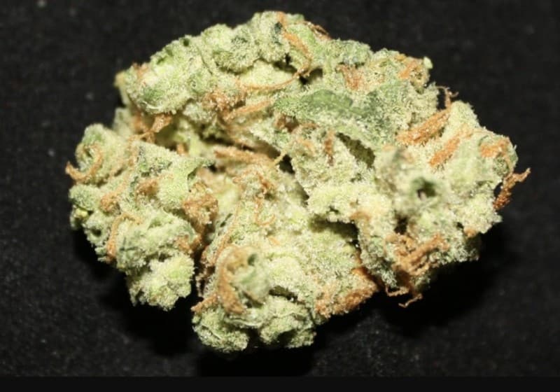 Space Queen cannabis strain, community photo 4