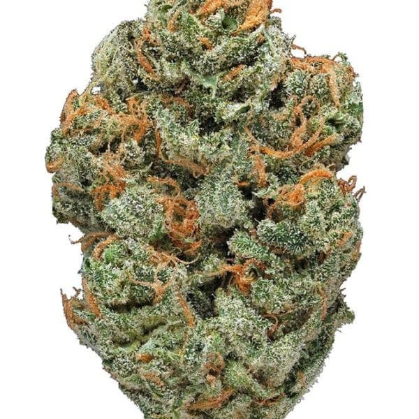 Space Queen cannabis strain, community photo 5