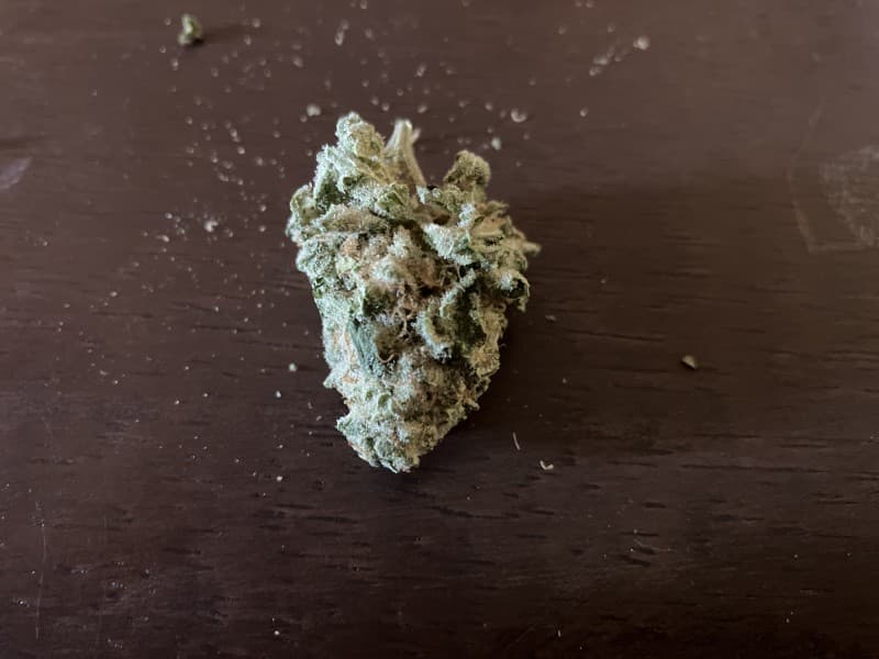 Spritzer cannabis strain, community photo 3