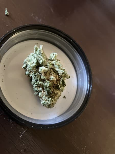 Spritzer cannabis strain, community photo 4