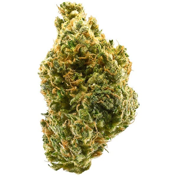 Squirt cannabis strain, community photo 1