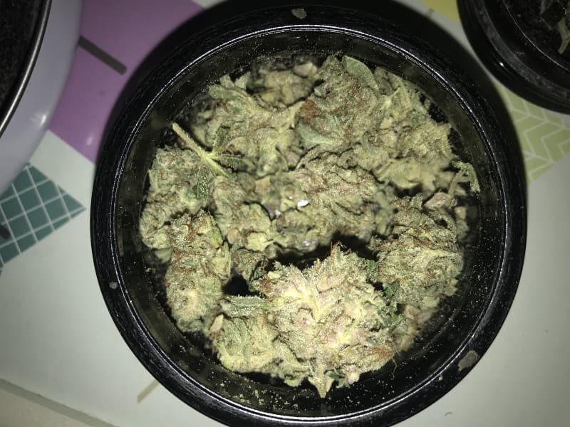 Star Dawg cannabis strain, community photo 6