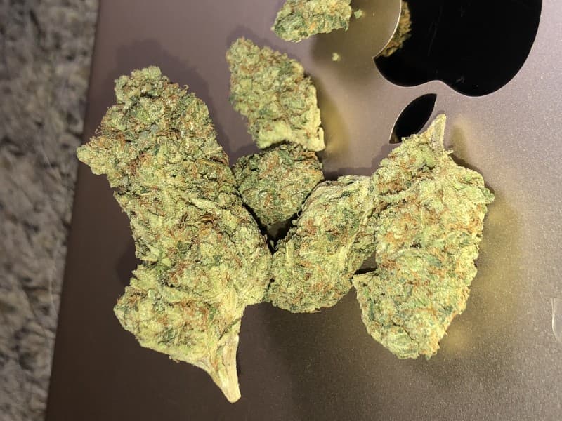 Star Killer cannabis strain, community photo 1
