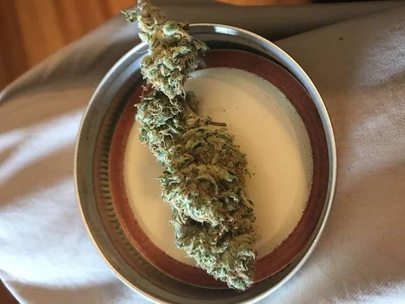 Stardawg cannabis strain, community photo 4