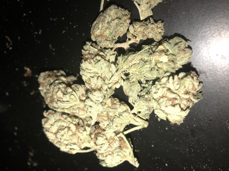 Stardawg cannabis strain, community photo 6