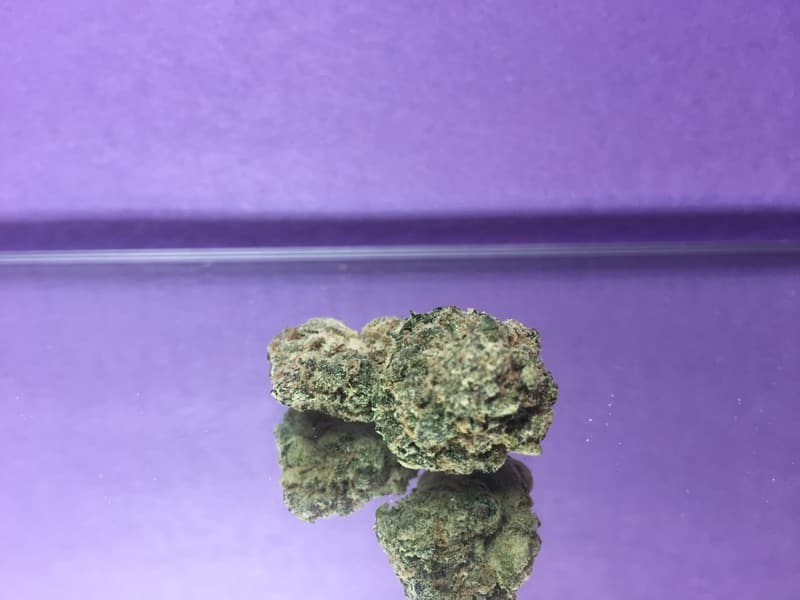 Starfighter cannabis strain, community photo 1