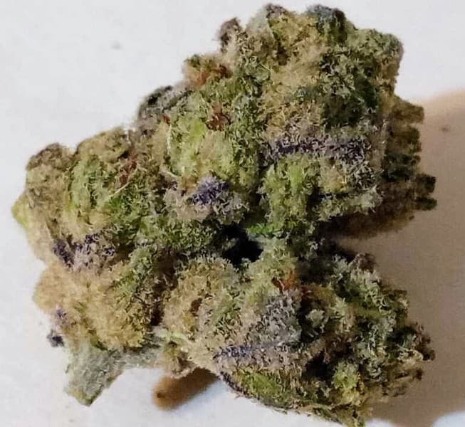 Starfighter cannabis strain, community photo 3