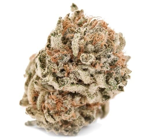 Starfighter cannabis strain, community photo 4