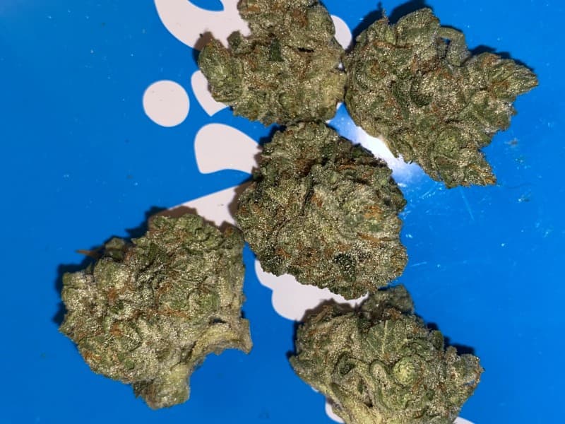 Sticky Buns cannabis strain, community photo 2
