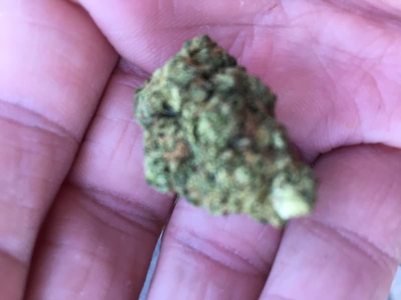 Sticky Buns cannabis strain, community photo 3