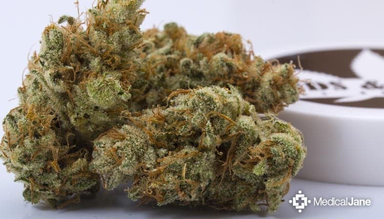 Strawberry cannabis strain, community photo 1
