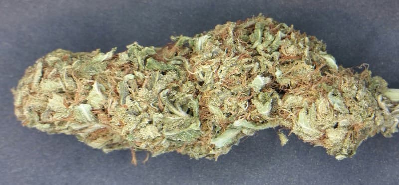 Strawberry cannabis strain, community photo 11