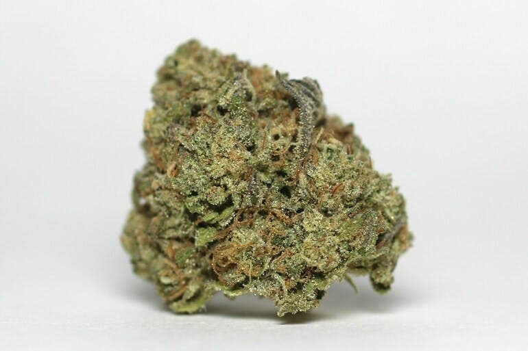 Strawberry cannabis strain, community photo 4