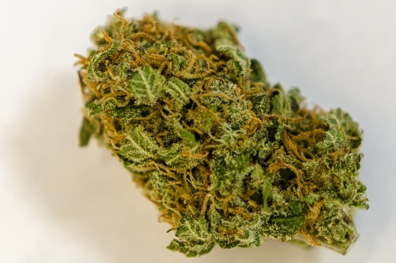 Strawberry cannabis strain, community photo 5