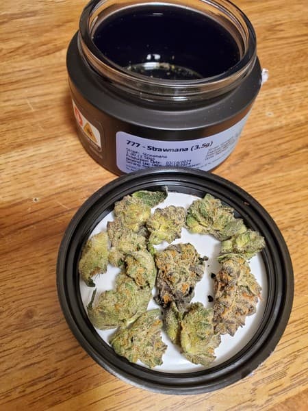 Strawnana cannabis strain, community photo 2