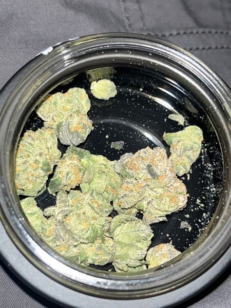 Strawnana cannabis strain, community photo 4