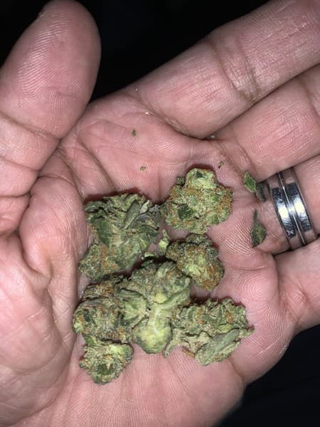 Strawnana cannabis strain, community photo 5