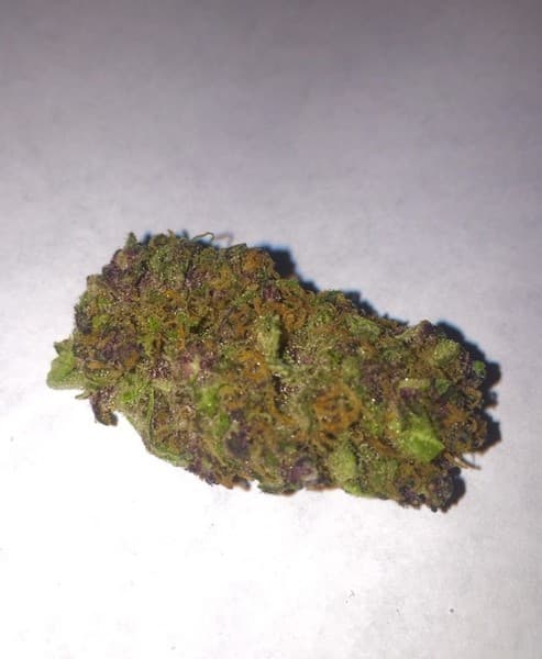 Sugar Plum cannabis strain, community photo 2
