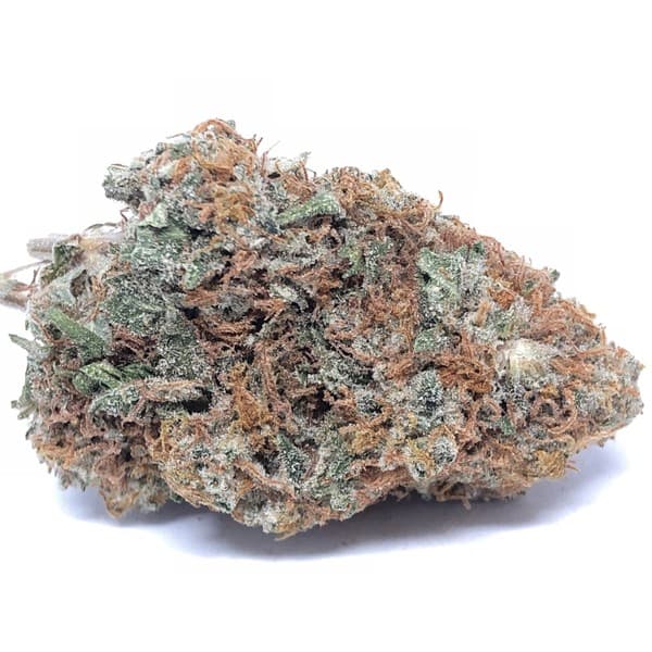 Sugar Shack cannabis strain, community photo 1