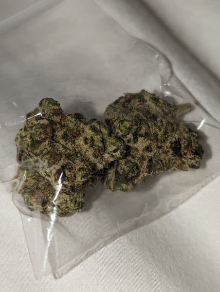 Sun Cake cannabis strain, community photo 1