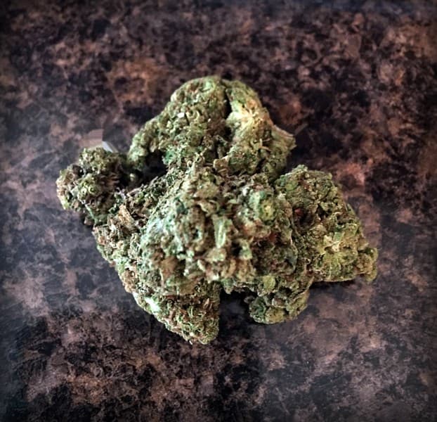 Super Glue cannabis strain, community photo 2