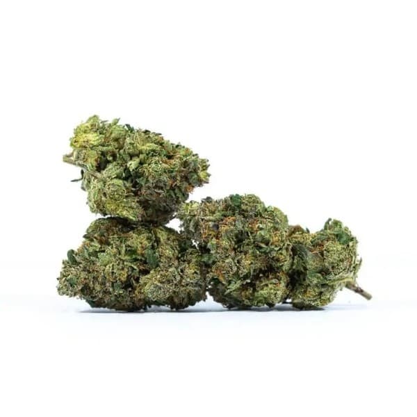 Super Glue cannabis strain, community photo 3