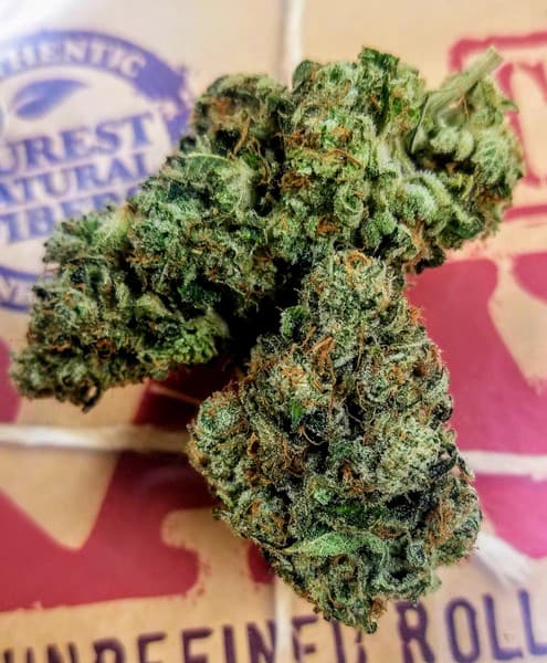 Super Glue cannabis strain, community photo 5