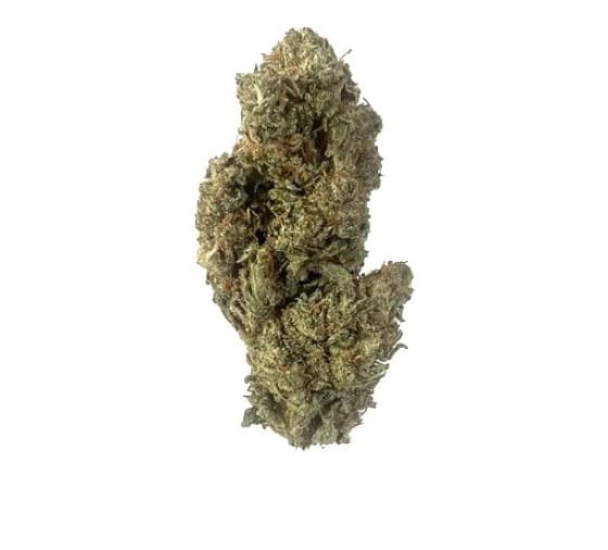 Super Jack cannabis strain, community photo 5